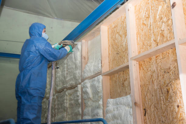 Best Home Insulation Services  in Sea Isle City, NJ